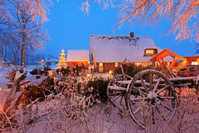 winter
